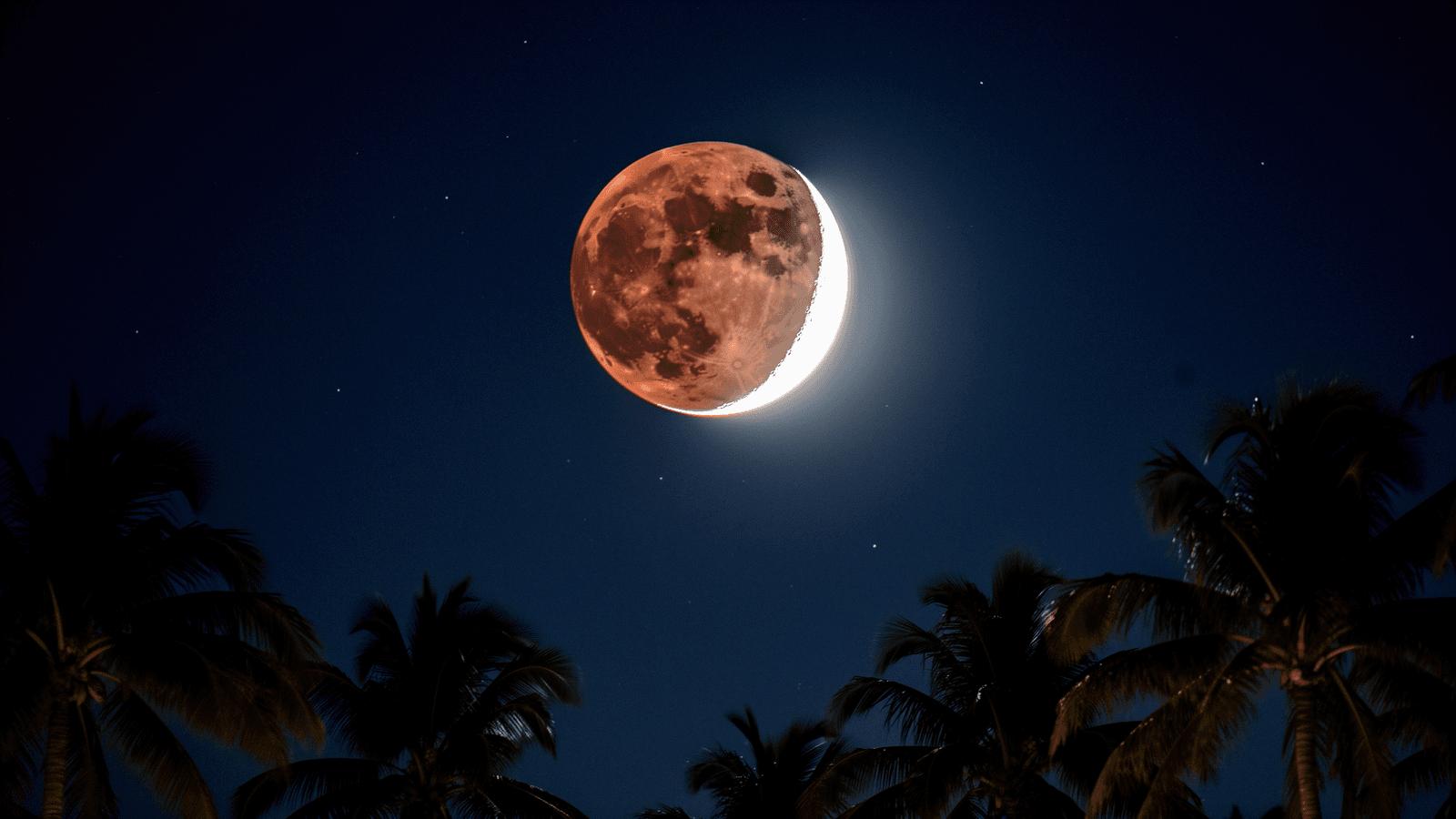 Ilustração: Eclipse lunar parcial ilumina o céu do Sul da Flórida nesta quinta-feira
